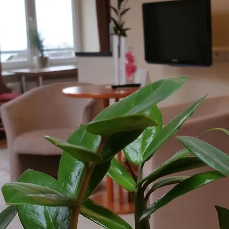 מלון Parkhotel Del Mar זאסניץ