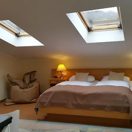 Parkhotel Del Mar מלון זאסניץ