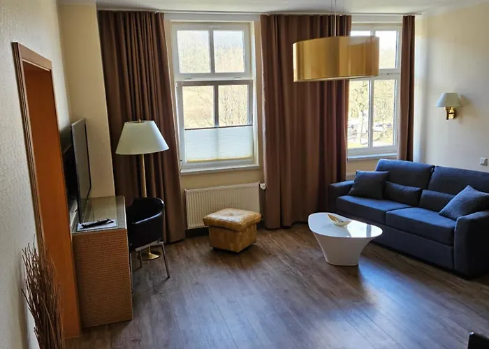 德尔马公园酒店 酒店 萨斯尼茨