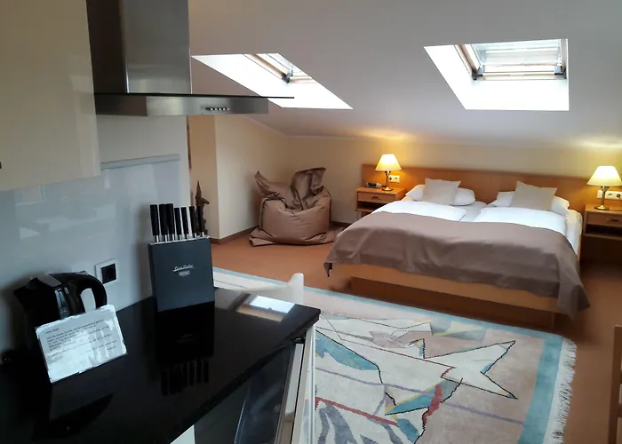 德尔马公园酒店 酒店