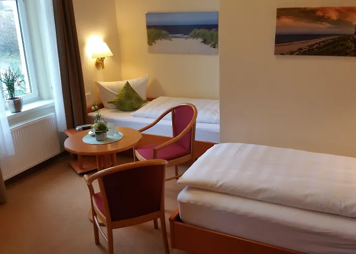 德尔马公园酒店 酒店 萨斯尼茨