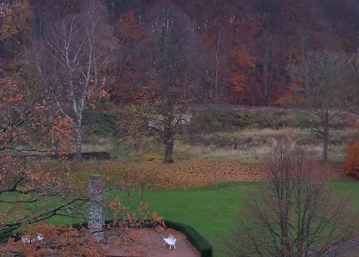 德尔马公园酒店 萨斯尼茨