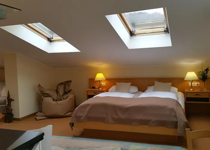 德尔马公园酒店 酒店 萨斯尼茨